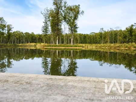 vente terrain 200000 m² à colomiers (31770)  760 000 €