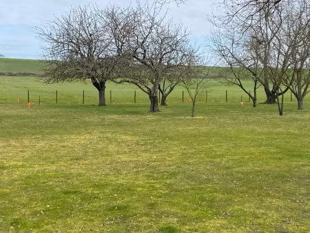 vente terrain 1599 m² à saint-barthélemy-d'anjou (49124)  159 000 €