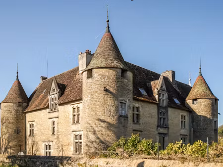 vente château 15 pièces 800 m² à domblans (39210)  1 300 000 €