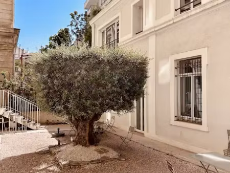 vente locaux professionnels 0 pièces 311.49 m² à marseille 6ème (13006)  1 480 000 €