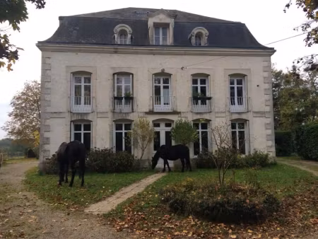 location meublée chambre 1 pièce 17 m² à saint-georges-lès-baillargeaux (86130)  320 €