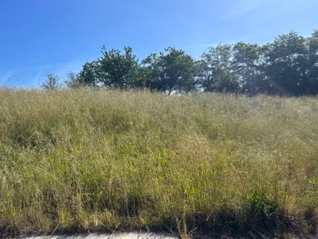 vente terrain 716 m² à artigues-près-bordeaux (33370)  185 000 €