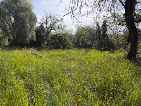 vente terrain 640 m² à la gaude (06610)  309 000 €