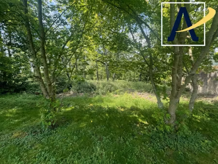 vente terrain à batir 4100 m² à offemont (90300)  216 000 €