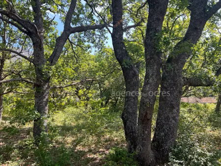 vente terrain 1800 m² à rustrel (84400)  176 000 €