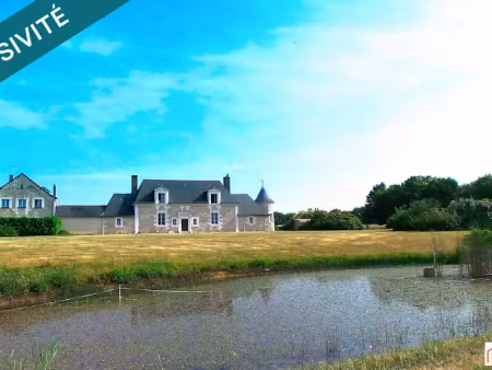 vente manoir 11 pièces 346 m² à neuillé-pont-pierre (37360)  839 000 €