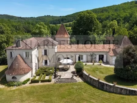vente maison 9 pièces 323 m² à puy-l'evêque (46700)  699 000 €
