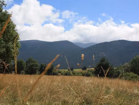 vente terrain 480 m² à formiguères (66210)  117 000 €