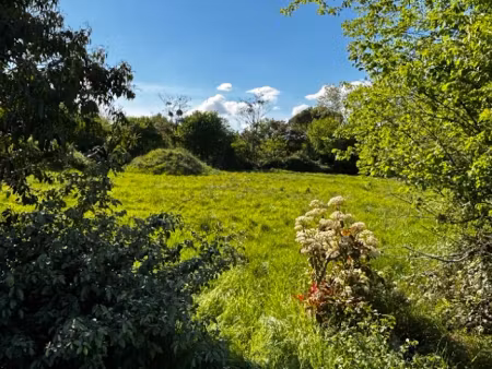 vente terrain 1000 m² à camblanes-et-meynac (33360)  175 000 €