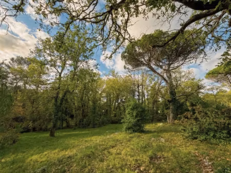 vente terrain 1266 m² à opio (06650)  595 000 €