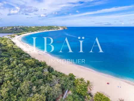 vente terrain 10000 m² à saint-martin (97150)  955 500 €