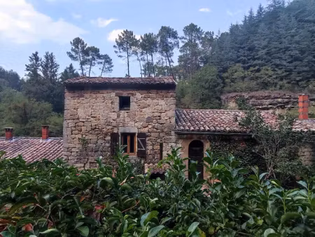vente propriété 17 pièces 325 m² à ribes (07260)  728 000 €