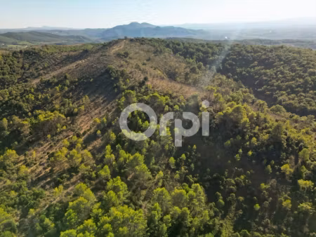 vente terrain 270540 m² à lagorce (07150)  33 500 €