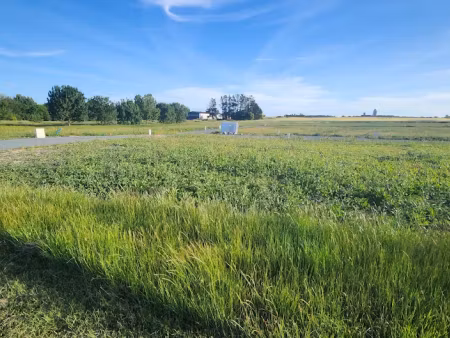 vente terrain 347 m² à mornac-sur-seudre (17113)  94 000 €
