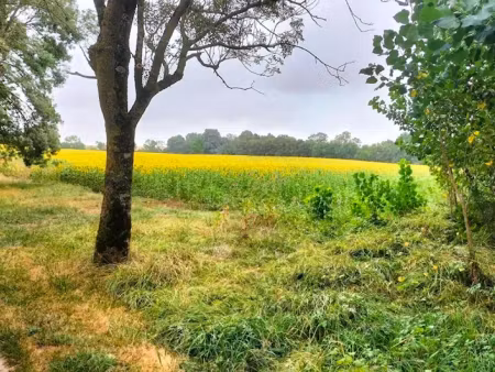 vente terrain 400000 m² à puycasquier (32120)  298 000 €