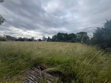 vente terrain 4659 m² à romorantin-lanthenay (41200)  11 000 €
