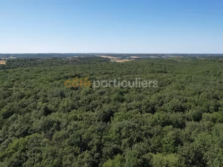 vente terrain 686481 m² à montaigut-sur-save (31530)  423 500 €