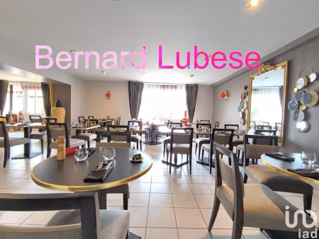 vente locaux professionnels 0 pièces 700 m² à bessines-sur-gartempe (87250)  267 500 €