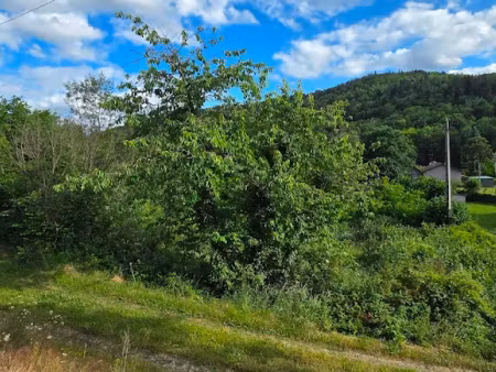 vente terrain à batir 810 m² à saint-sixte (42130)  35 000 €