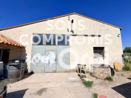 vente locaux professionnels à vauvert (30600)  nan €