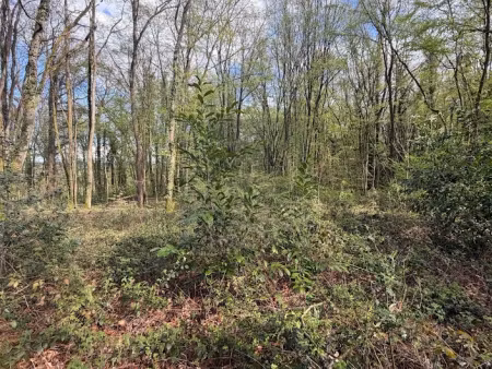 vente terrain 775 m² à bois-le-roi (77590)  9 990 €