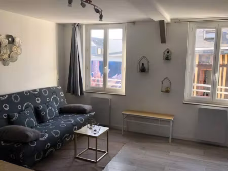 location meublée appartement 1 pièce 31 m² à rouen (76000)  700 €
