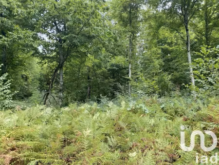 vente terrain 10388 m² à bonnefont (65220)  8 000 €