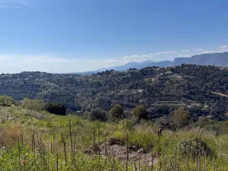 vente terrain à batir 15614 m² à nice (06000)  682 500 €