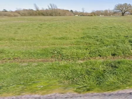 vente terrain 2537 m² à saint-savin (33920)  47 040 €