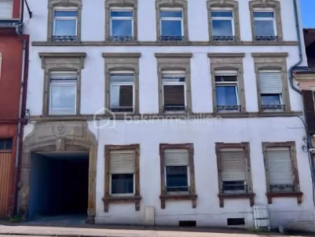vente immeuble 20 pièces 400 m² à sarreguemines (57200)  975 000 €