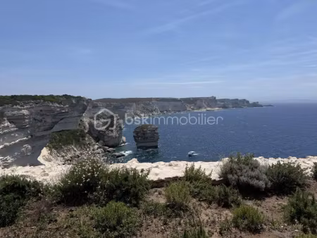 vente terrain 7500 m² à bonifacio (20169)  629 000 €