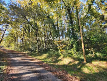 vente terrain 1968 m² à mont-roc (81120)  8 000 €