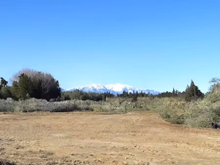 vente terrain 290 m² à elne (66200)  124 900 €