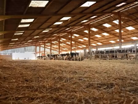 vente ferme à fresnes-en-woevre (55160)  1 900 000 €