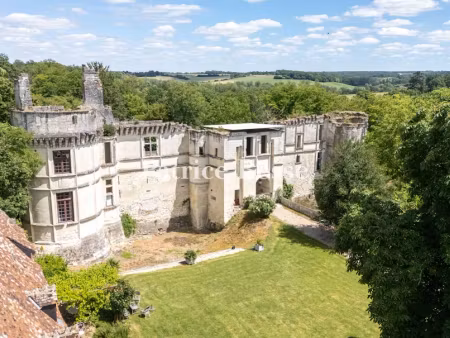 vente maison 5 pièces 566 m² à valençay (36600)  480 000 €