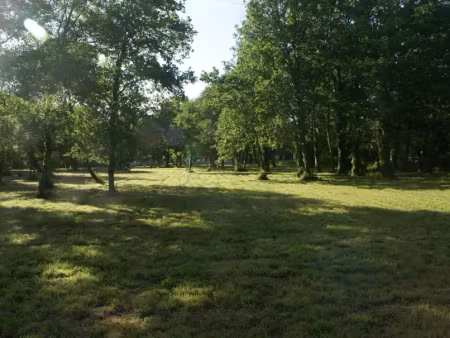 vente terrain 3960 m² à saint-vivien-de-médoc (33590)  78 600 €