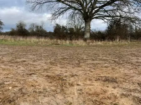 vente terrain 348 m² à cerisé (61000)  40 020 €