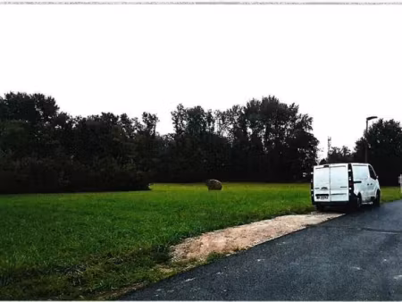 vente terrain à batir 434 m² à jouy-sur-morin (77320)  38 000 €