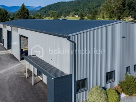 vente locaux professionnels à tarbes (65000)  900 000 €