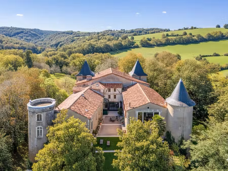 vente château 18 pièces 1000 m² à betchat (09160)  2 300 000 €