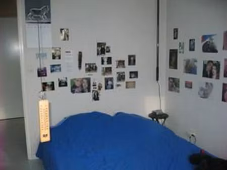 location appartement 1 pièce 19 m² à villeurbanne (69100)  444 €