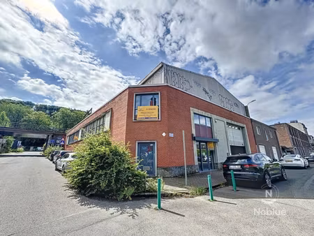verviers immeuble multifonctionnel à vendre
