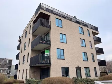 spacieux appartement avec places de parking à louer à wonde…
