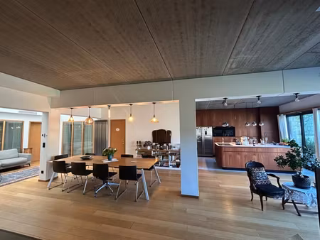 loft de 200m² avec jardin/terrasse 210m2 et atelier de 285m2
