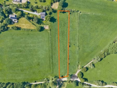 magnifique terrain à bâtir de 3.556 m² à plainevaux