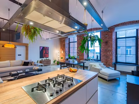 loft industriel de caractère idéalement situé à lot