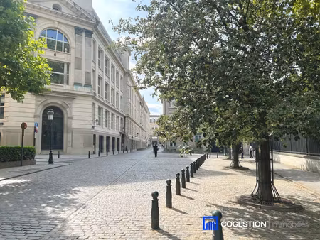 face au palais royal 1 chambre + bureau  terrasse et parking