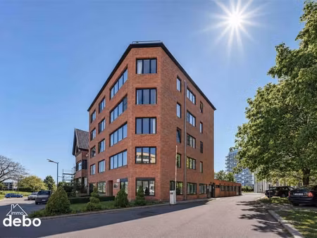 geef jouw zaak een vliegende start in kortrijk