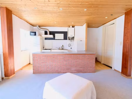 appartement + combles - pas de charges!!