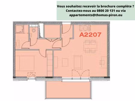 ◊ actuellement : conditions exclusives !◊